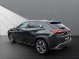 Lexus UX 250h*STYLE*1HD*CARPLAY* 15J-GARANTIE* - Lexus Gebrauchtwagen in Essen