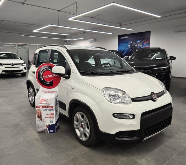 Image of Fiat Panda