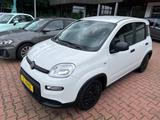Fiat Panda Base    1.Hand   12500 Euro BRUTTO - Fiat: 125p