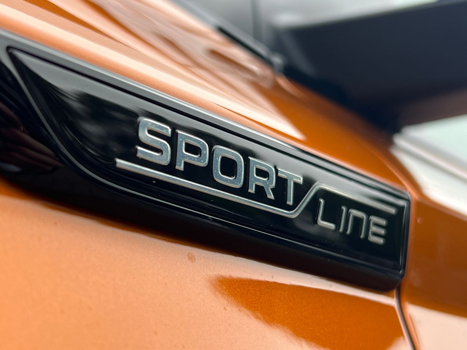Fahrzeugabbildung SKODA Karoq Sportline 2.0 TSI 4x4 DSG *Panorama, AHK,