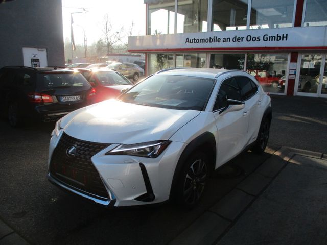 Lexus UX250h Style Edition, Kamera, SHZ, Apple, TWW