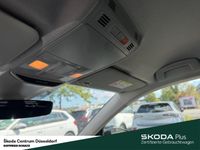 Skoda Kamiq - Vorschau Bild 21