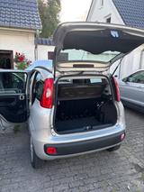 Fiat Panda Gas und Benzin - Fiat Panda mit CNG-Antrieb