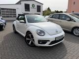 Volkswagen Beetle Cabrio R-Line*NAVI*DAB*TEMPO*XENON*DSG - Volkswagen Beetle mit 3 Türen