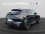 Alfa Romeo Stelvio 2,9 V6 Quadrofoglio ACC - Alfa Romeo Stelvio SUV