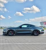 Ford Mustang Shelby GT350R / 5.2l / V8 - Ford Mustang: Gt350
