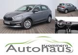 Skoda Fabia Selection * DAB * Lane Assist * G+ 5 Jahre - Skoda Fabia: 5j