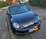 Volkswagen Beetle 1.4 TSI DSG Sport Cabriolet Sport - Volkswagen Beetle mit Benzin-Antrieb: Cabrio, 1.4