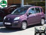 Fiat My Panda 1.2 LED Klima Panorama Sitzheizung 1.Hd - Fiat Panda mit Schiebedach