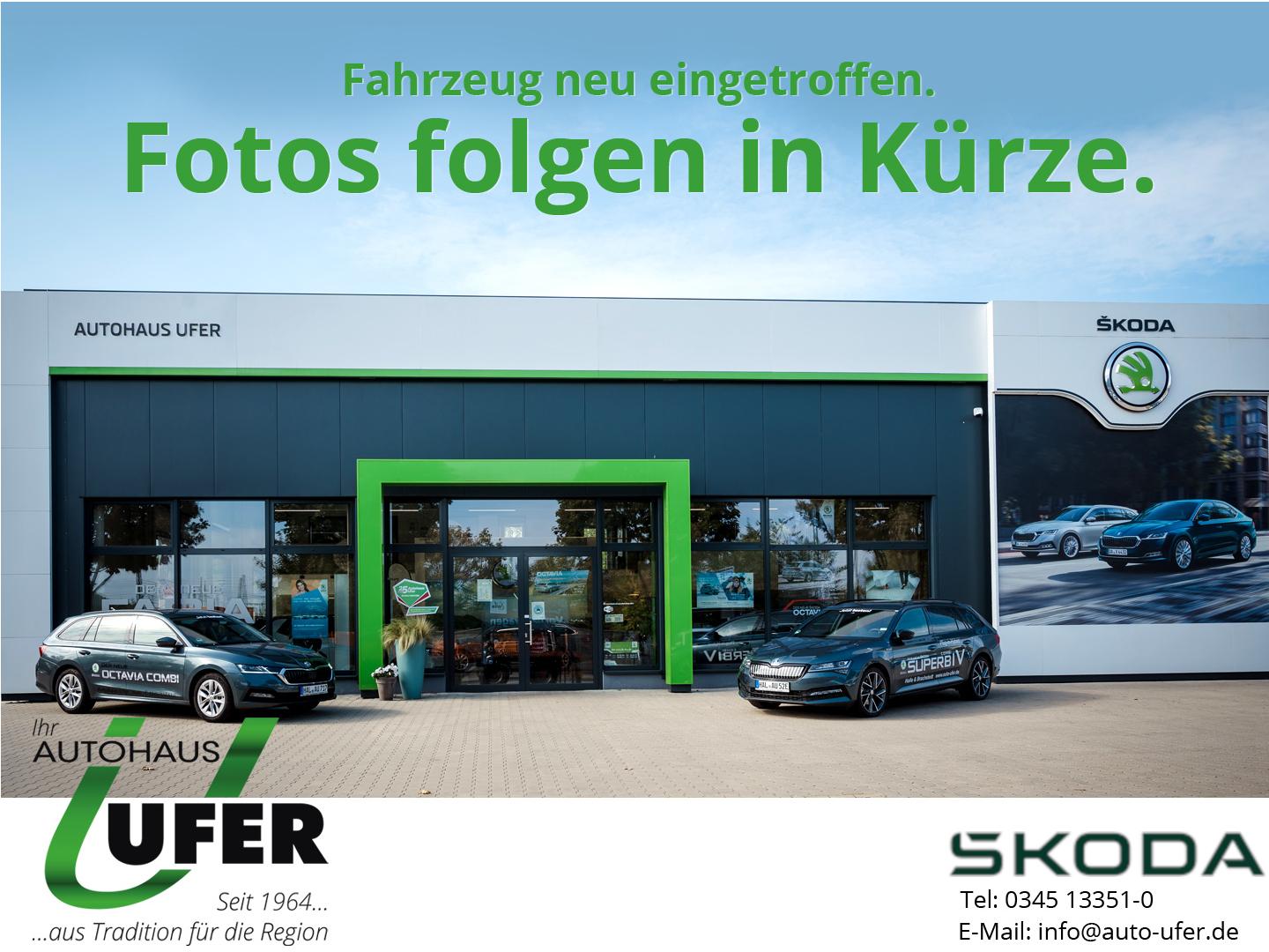 Skoda Kamiq Tour Navi Digitales Cockpit LED AHK Kurven