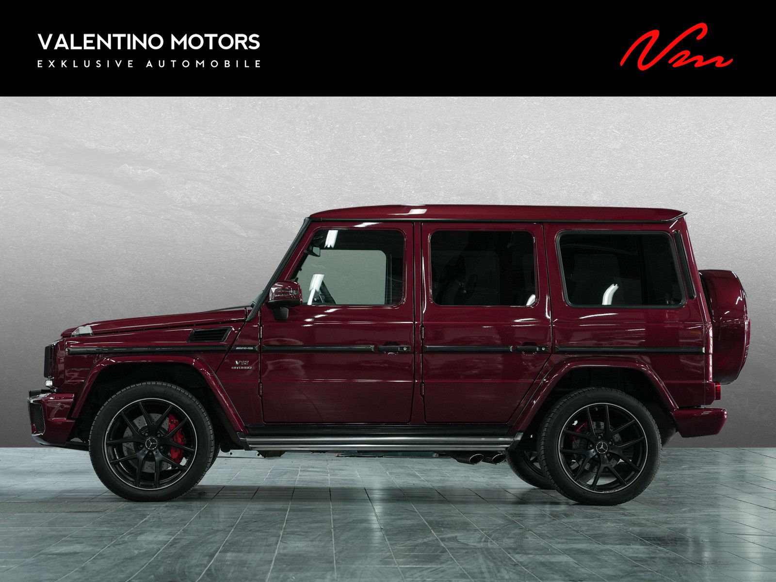 Fahrzeugabbildung Mercedes-Benz G 65 AMG - Fond Entertainment | Standheizung