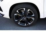 Cupra Ateca 2.0 TSI DSG 4Drive 360 Grad Parkassi XL 19 - Cupra Ateca in Bielefeld