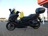 Honda Forza125 Special Ed. incl. Anlieferung - HONDA NEU ROLLER