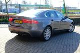 Jaguar XE 2.0 Prestige Pro Edition Aut. Navi|Clima|Lane - Jaguar XE Prestige mit Benzin-Antrieb