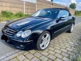 Mercedes-Benz CLK 200 KOMPR. CABRIO ELEGANCE LEDER NAVI XENON  - Mercedes-Benz CLK 200: Elegance