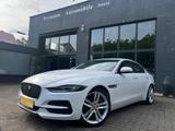 Jaguar XE P250 SE*MERIDIAN*CAMERA*VIRTUAL COCKPIT* - Jaguar XE: Se