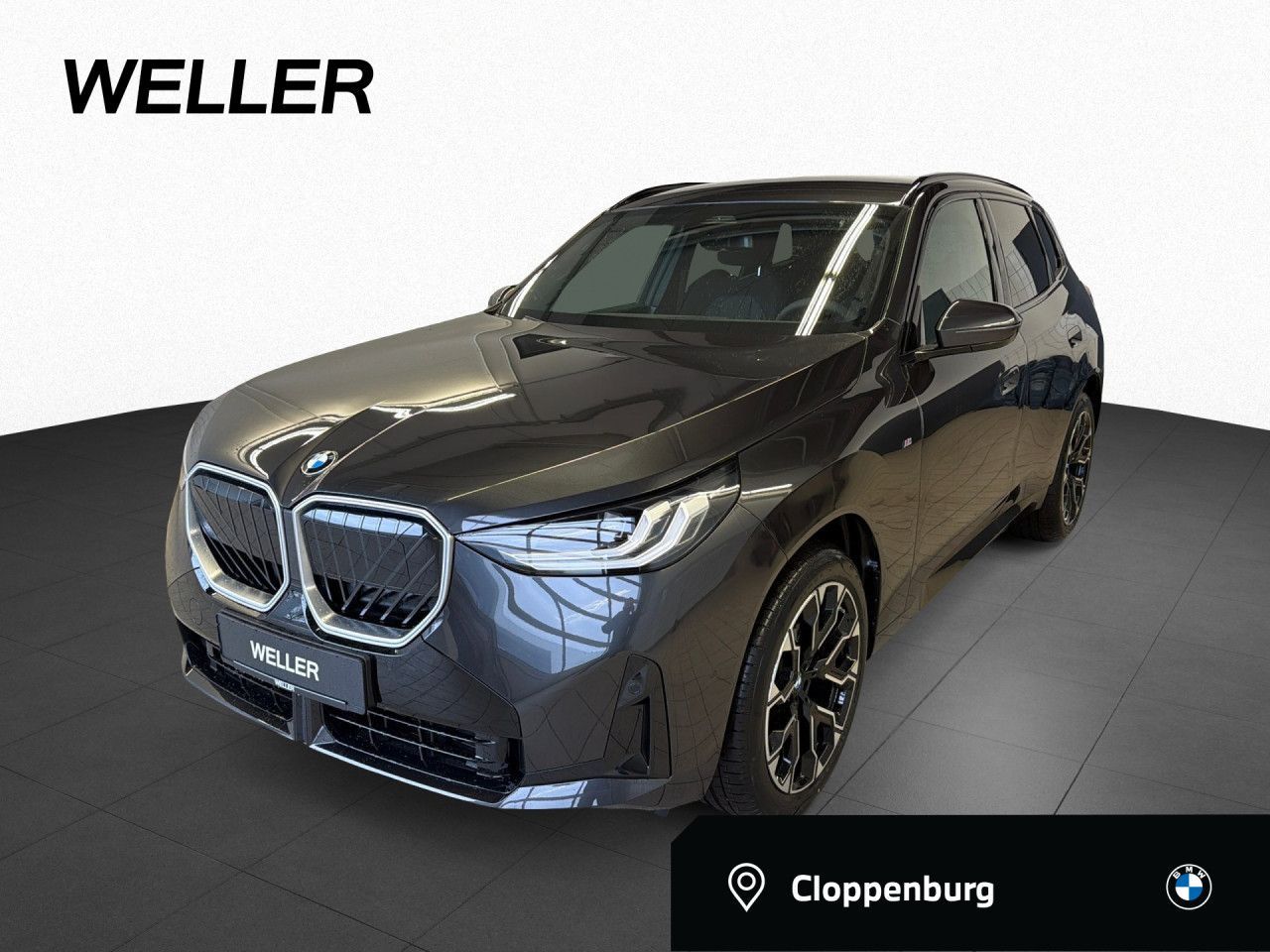 BMW X3 20d xDrive M Sportpaket Navi PaAss AHK RFK