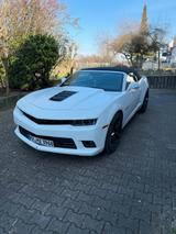 Chevrolet Camaro 6.2 V8 AT - Cabriolet Eyecatcher - Chevrolet Camaro: Cabrio