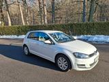 Volkswagen Golf 1.6 TDI 4MOTION BMT Alltrack Alltrack - Volkswagen Golf mit Diesel-Antrieb: 1.4