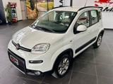 Fiat Panda 1.3 mjt 16v 4x4 s&s 95cv - Fiat Panda: Pickup