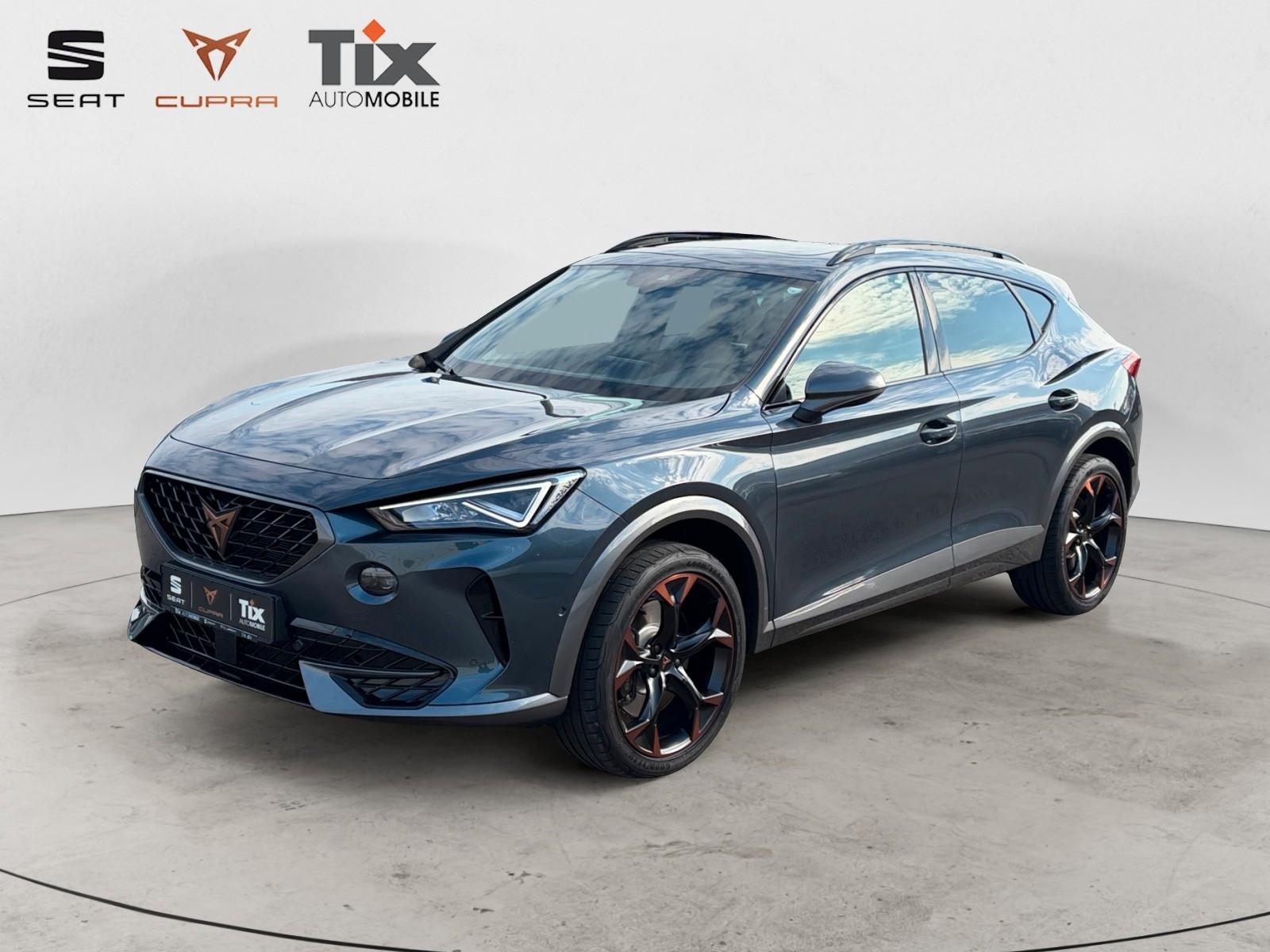 Cupra Formentor VZ 2.0 TSI DSG 4Drive 1.HD/Navi/Kamera