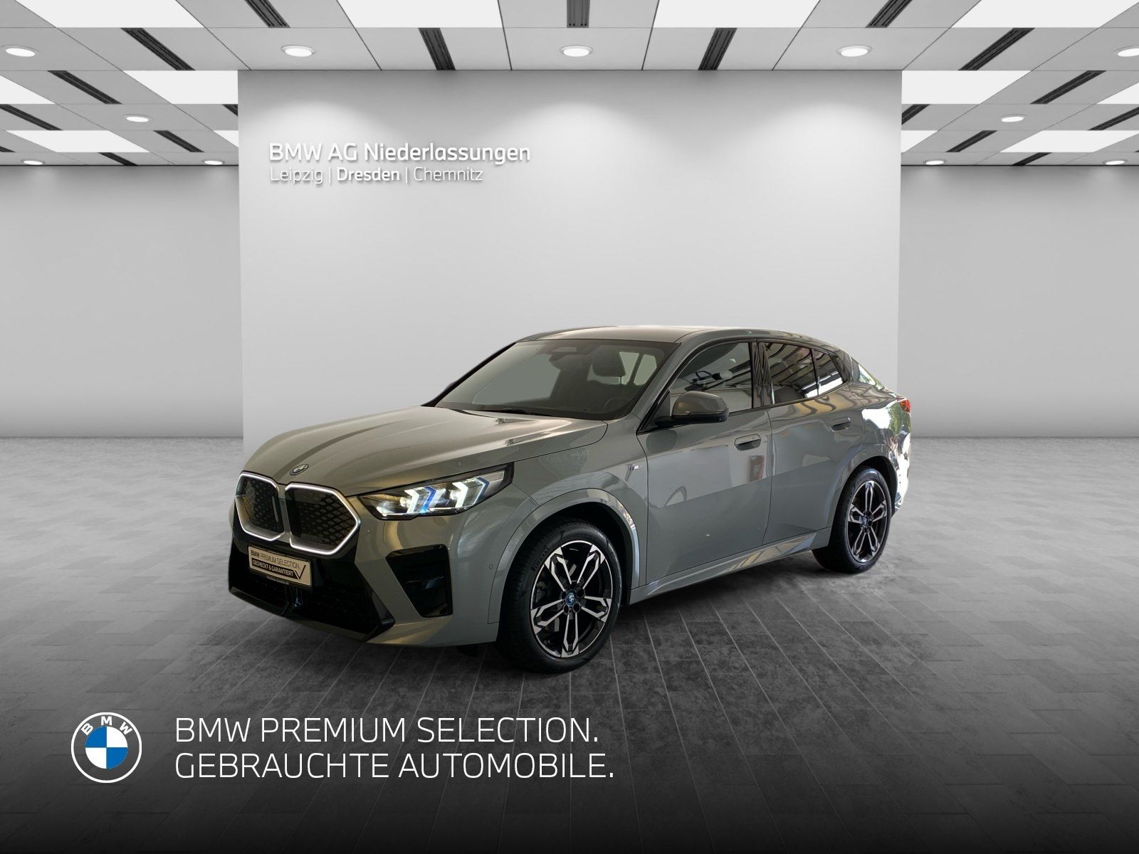 BMW iX2 xDrive30 M Sport AHK Driv.Assist.Prof LED