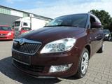 Skoda Roomster Comfort - Skoda Roomster: Rot