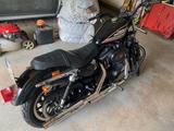 Harley-Davidson 883 R - Angebote