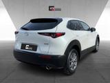 Mazda CX-30 Selection 2WD SKYACTIV-X M Hybrid 2.0 - Mazda CX-30 mit Schiebedach