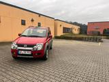 Fiat Panda 4X4 Allrad klima - Fiat Panda Gebrauchtwagen in Wuppertal
