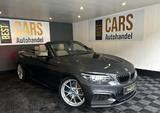 BMW M240i Cabrio Harman/K. M-Performance Auspuff - BMW M2 Cabrio Gebrauchtwagen
