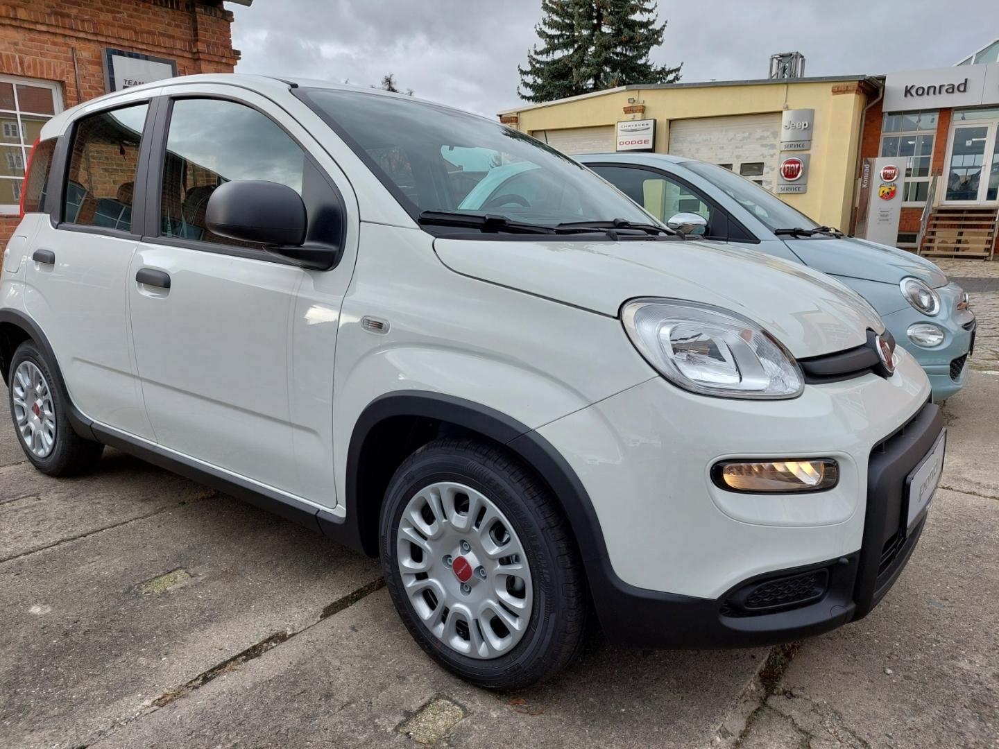 Fiat Panda 1.0 Pandina DAB Spurhalteass. Verkehrszeic