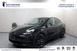 Tesla Model Y Performance Autopilot3 MATRIX 21ZOLL - Tesla aus 2022