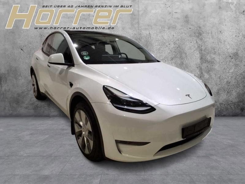 Tesla Model Y Long Range Dual AWD A.Pilot
