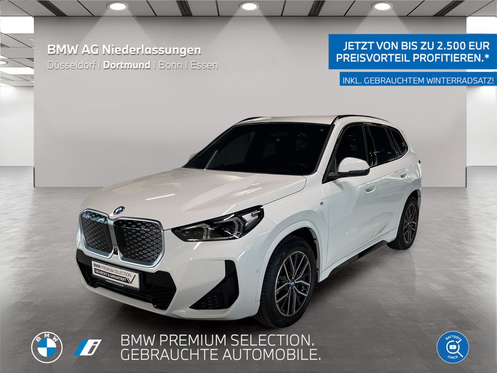 BMW iX1 xDrive30 M Sport AHK Driv.Assist.Prof LED