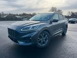 Ford KUGA 1.5 EcoBlue 120PS A8 LKW NO: 61192