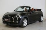 MINI Cooper Cabrio Chilli LED Parkassist Navi Leder - scheckheftgepflegte MINI Cooper Cabrio