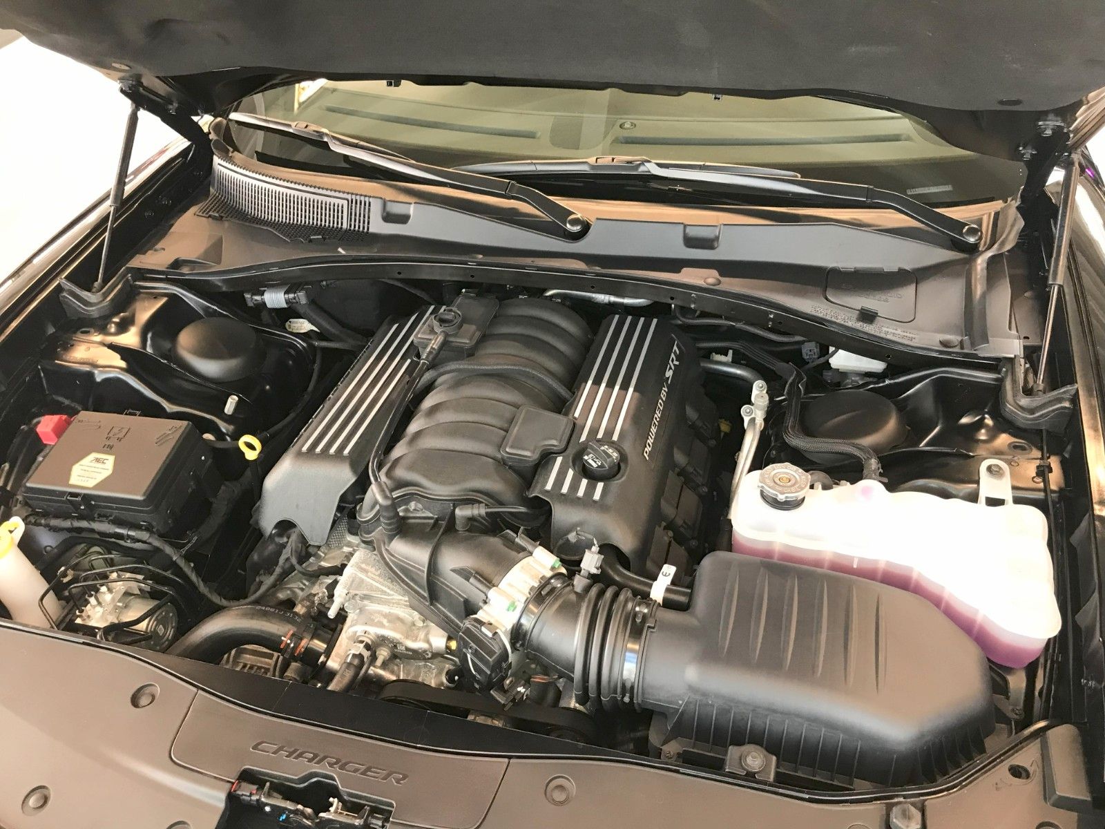 Fahrzeugabbildung Dodge Charger R/T Scat Pack 6.4  *Navi*Last Call*