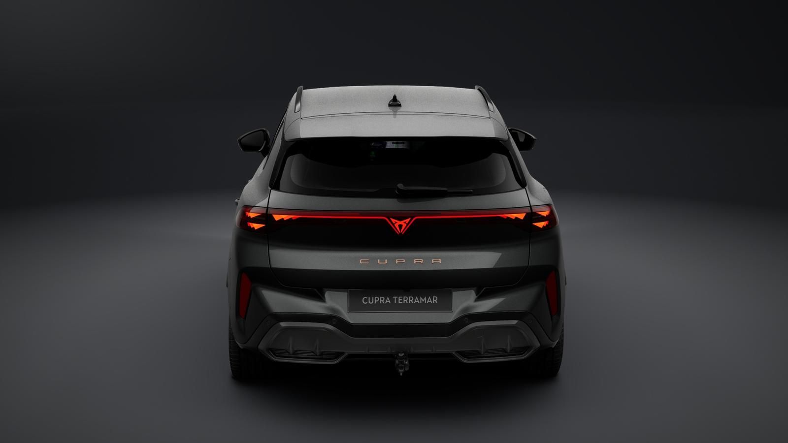 Cupra Terramar - Bild 4