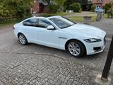 Jaguar XF 35t 340PS Prestige Automatik - Jaguar XF: Prestige