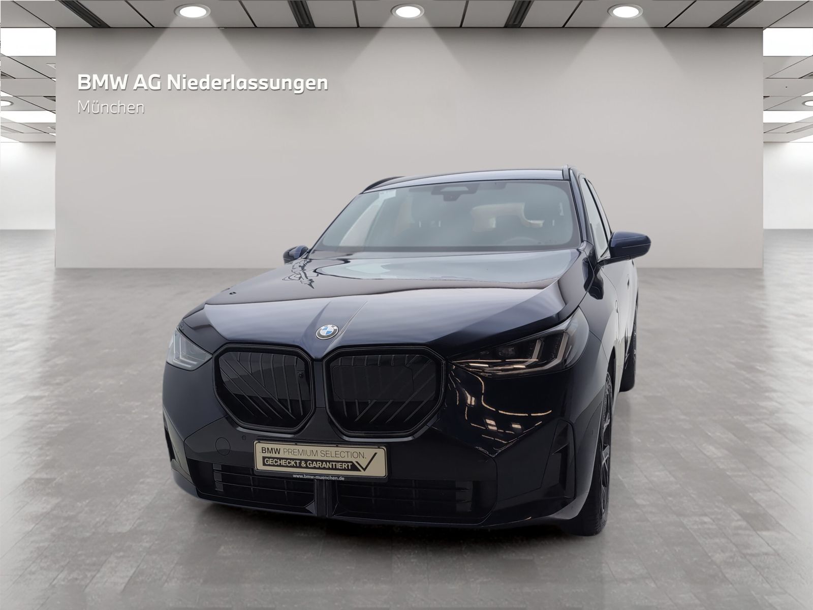 BMW X3 30e xDrive M Sport AHK Driv.Assist.Prof LED foto 4