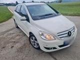 Mercedes-Benz Mercedes Benz B klasse 200 CDI - Mercedes-Benz E 200: Kleinwagen