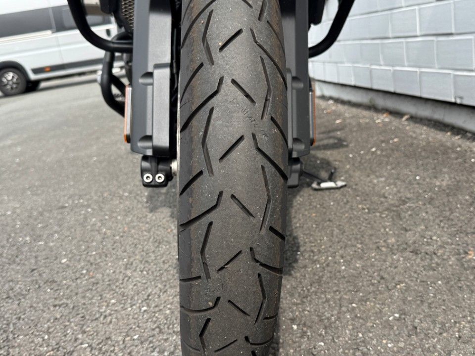 Fahrzeugabbildung Triumph Tiger 1200er Desert Edition Koffer Bügel Scheibe
