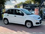 Fiat Panda Easy 1.2*Klima*Allwetter*Tüv+Service NEU* - Fiat Panda: 2t