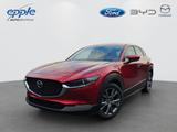 Mazda CX-30 e-SKYACTIVE X 186 Aut. EXCLUSIVE-LINE - Mazda CX-30 mit Panoramadach