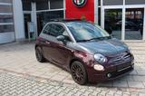 Fiat 500 Collezione brunello - grigio basalte - Fiat 500: Collezione