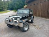 Jeep Wrangler YJ 4.0 mit H Kennzeichen  - Jeep: Yj