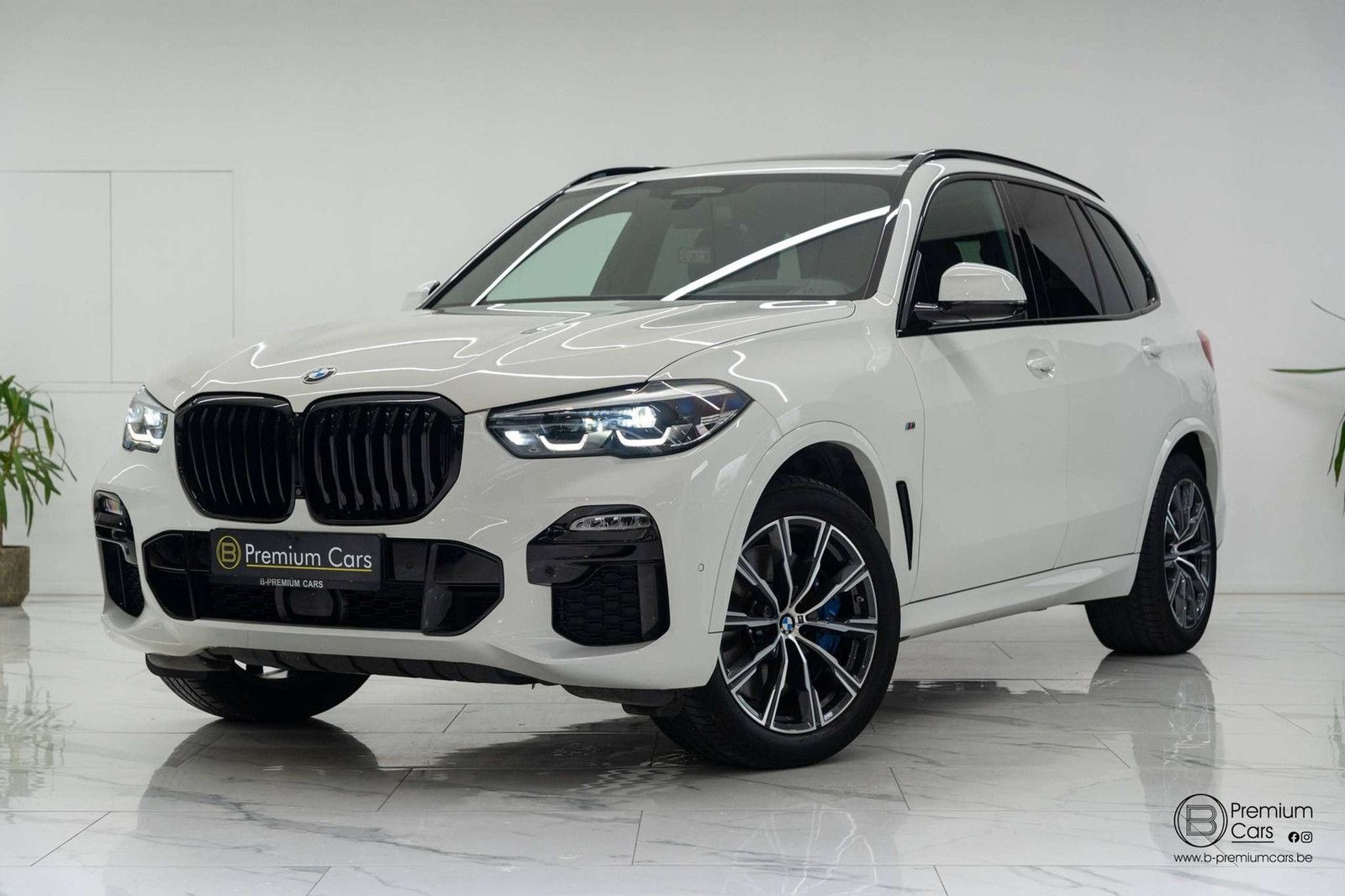 BMW X5 xDrive 30d M-pack! Sky lounge! Ultra full opt