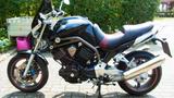 Yamaha BT 1100 Bulldog  - YAMAHA BT 1100 BULLDOG