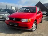 Volkswagen Polo Basis 1,4 - Volkswagen Polo aus 1997
